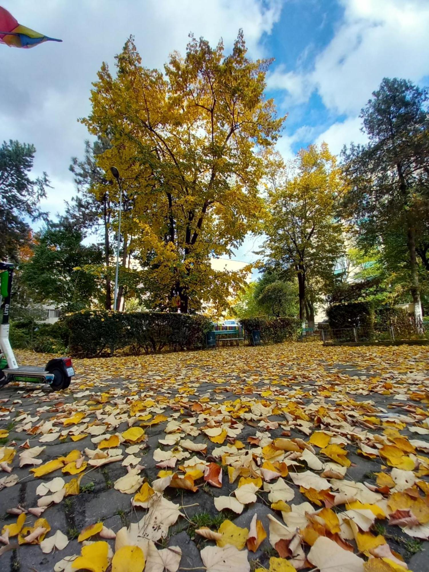 Apartament Dacia Târgu-Mureş 外观 照片